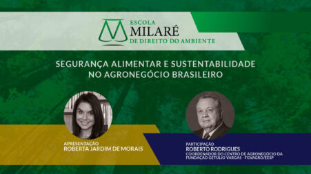 Segurança Alimentar e Sustentabilidade no Agronegócio Brasileiro
