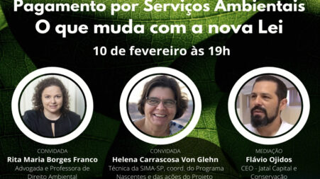 Dia 10: nossa Leading Lawyer Rita Maria Borges Franco participará da Live “Pagamento por Serviços Ambientais – O que muda com a nova Lei”