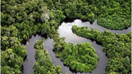 Matéria “Número de ações judiciais sobre Direito Ambiental cresceu 10% no ano passado”