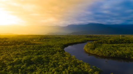 As discussões sobre os incêndios na Amazônia e o crescimento da pauta ambiental no Brasil